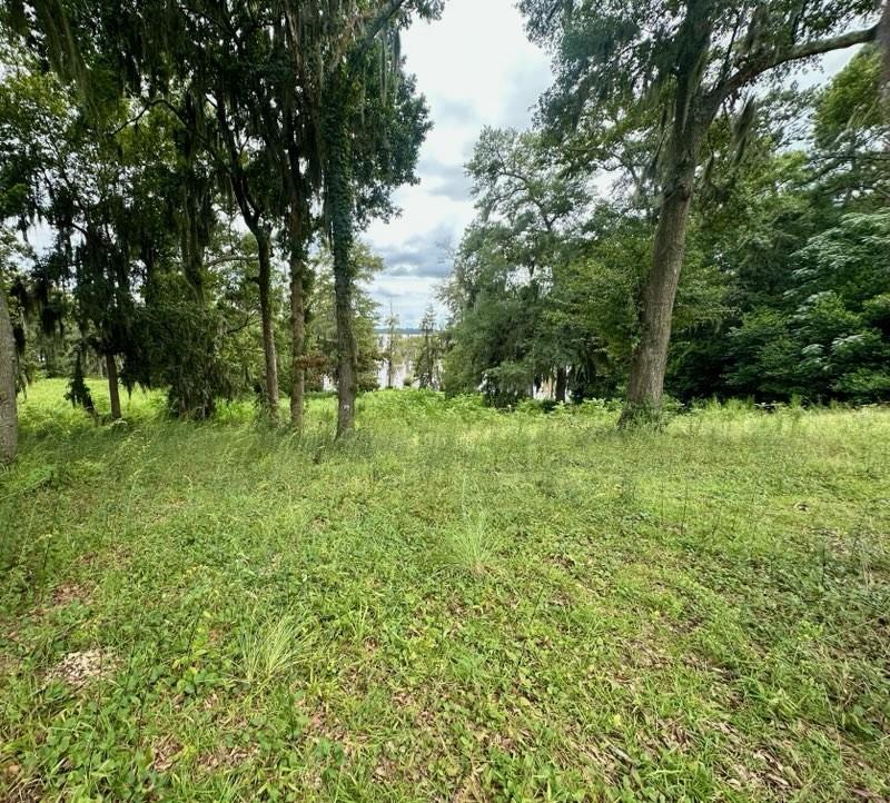 3 Flintview Drive Cordele, GA 31015 - Photo 3 of 3 a big yard with lots of green space and deers