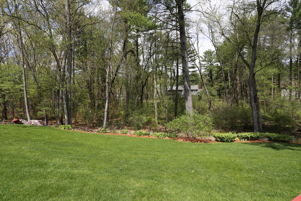 28 Middle Road Sudbury, MA 01776 - Photo 3 of 24 a backyard of a house with lots of green space