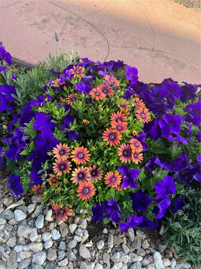 13645 5th Street, Unit 35 Yucaipa, CA 92399 - Photo 22 of 22