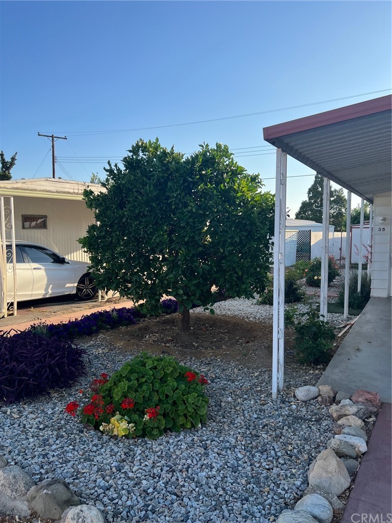 13645 5th Street, Unit 35 Yucaipa, CA 92399 - Photo 5 of 22 a view of a backyard with plants and patio