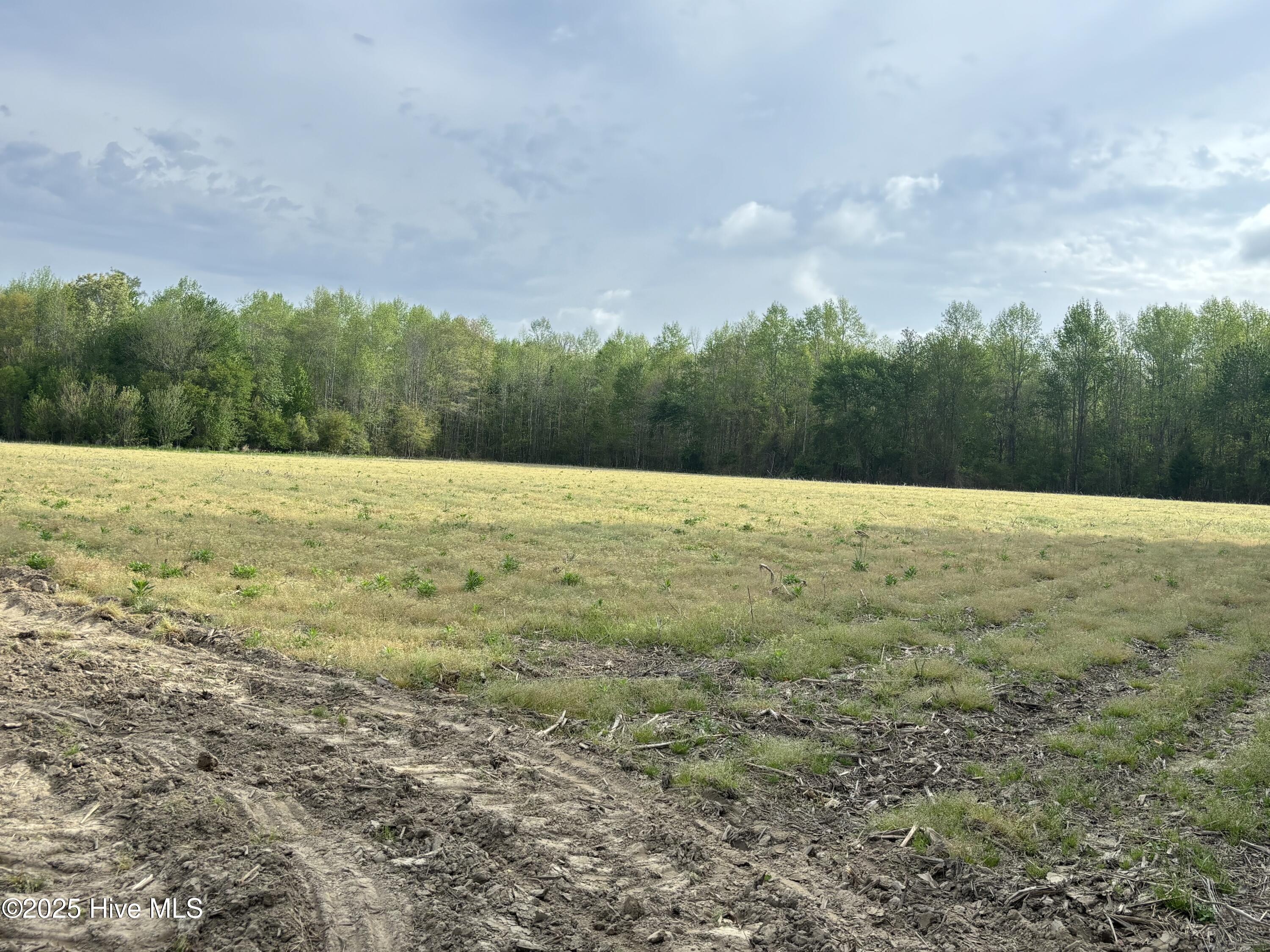 Tbd Jones White Road Roper, NC 27970 - Photo 1 of 5 Jones White Rd.