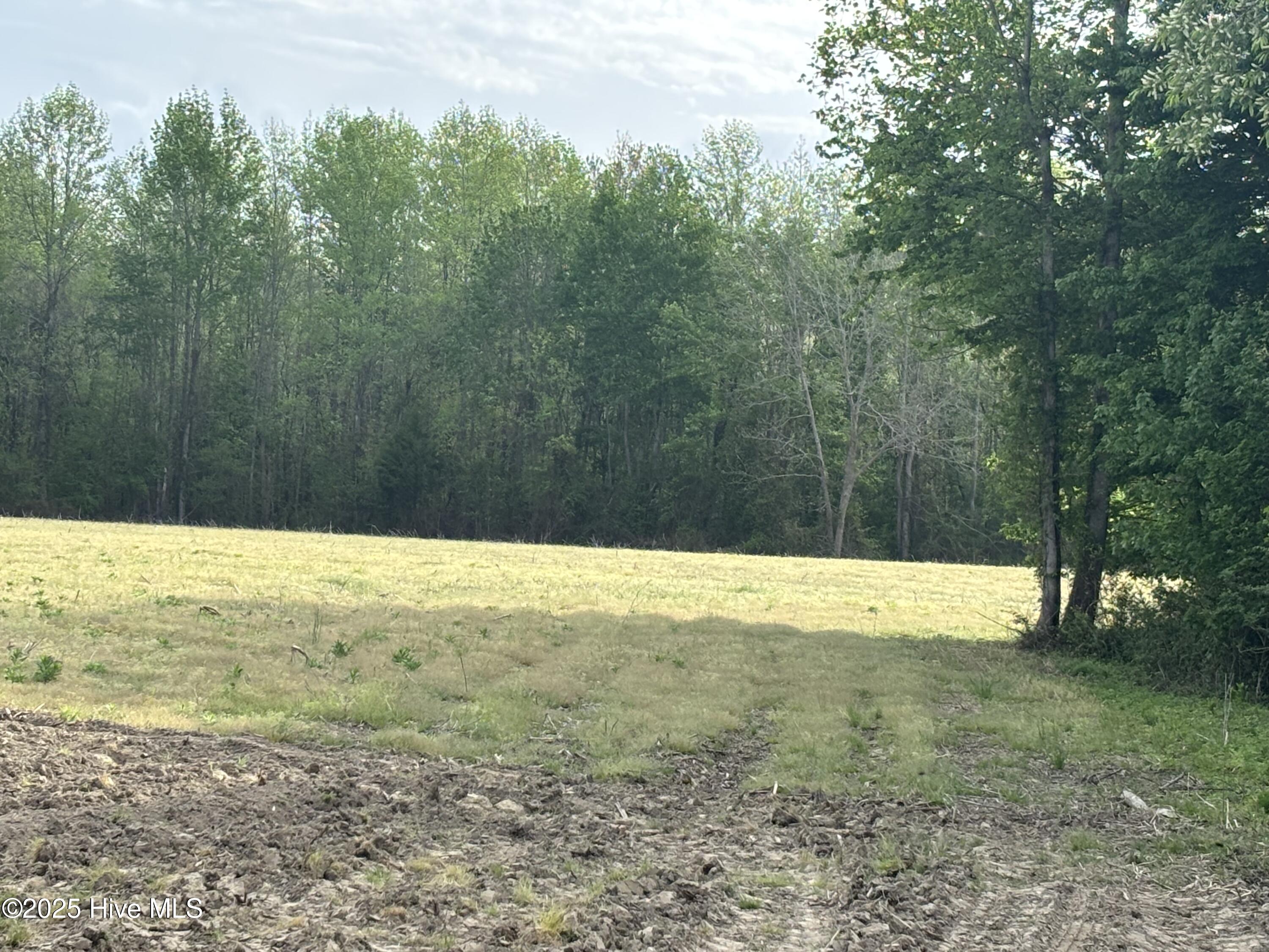 Tbd Jones White Road Roper, NC 27970 - Photo 2 of 5 Jones White Rd