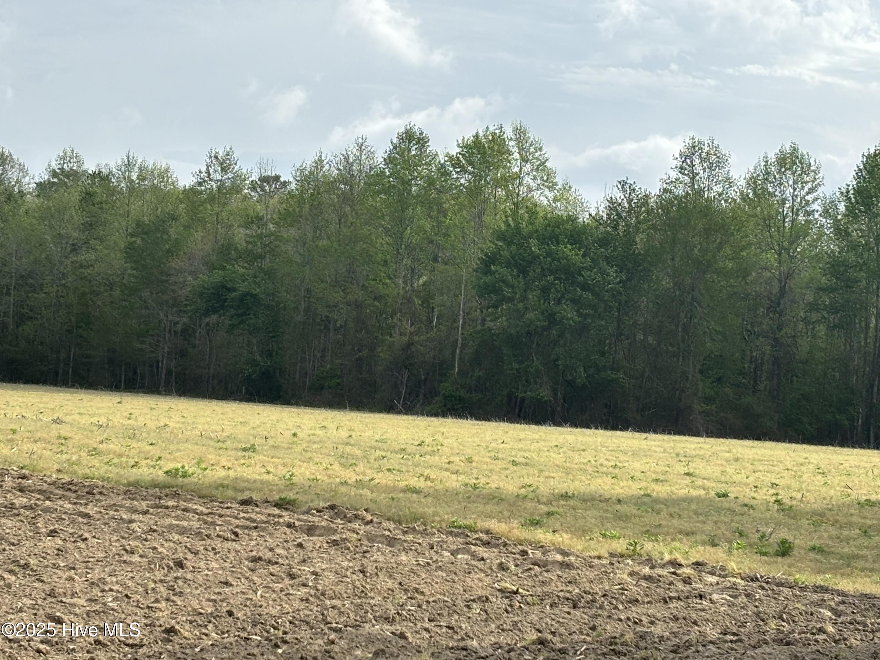 Tbd Jones White Road Roper, NC 27970 - Photo 3 of 5 Jones White Rd