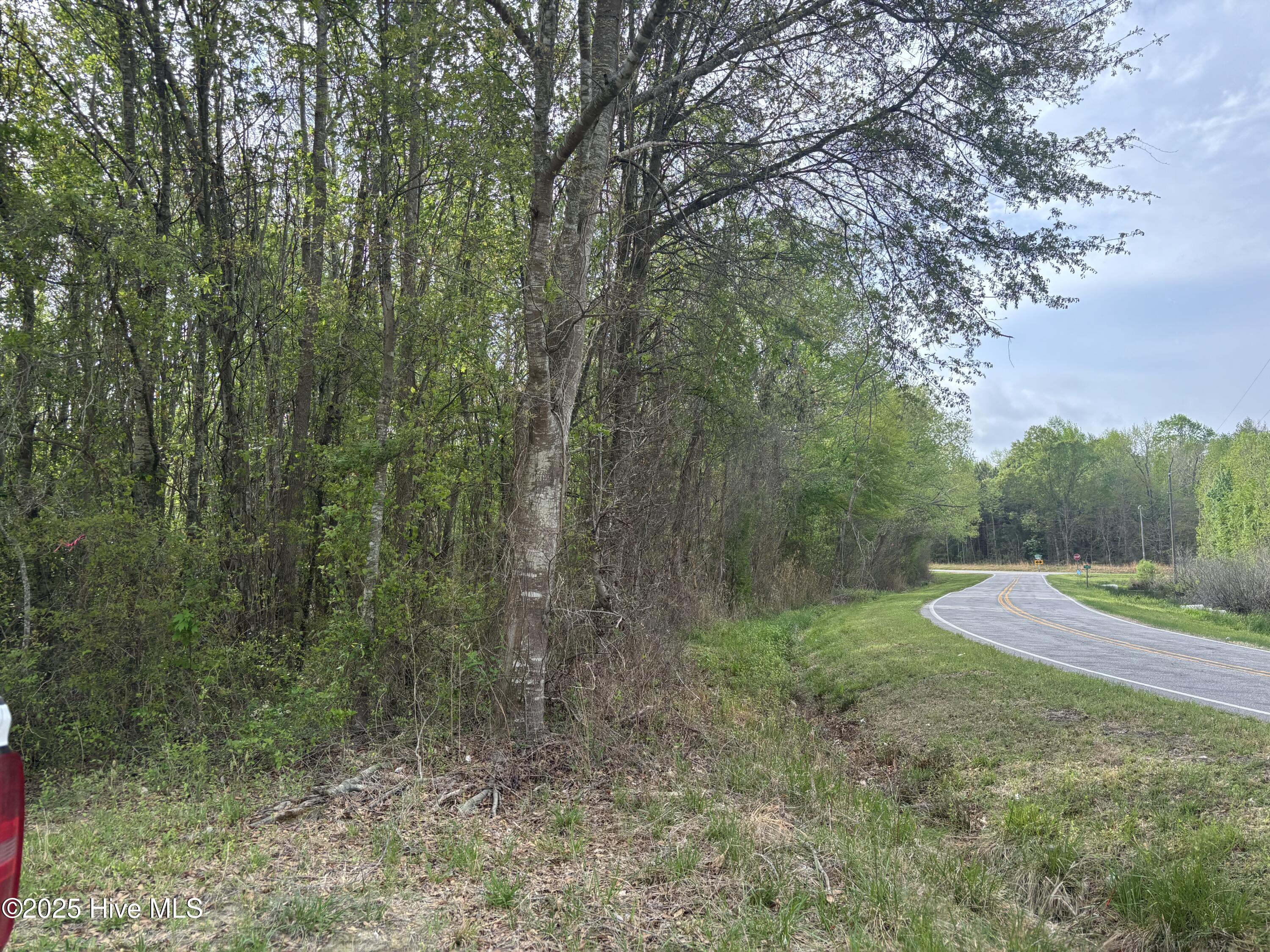 Tbd Jones White Road Roper, NC 27970 - Photo 4 of 5 Jones White Rd