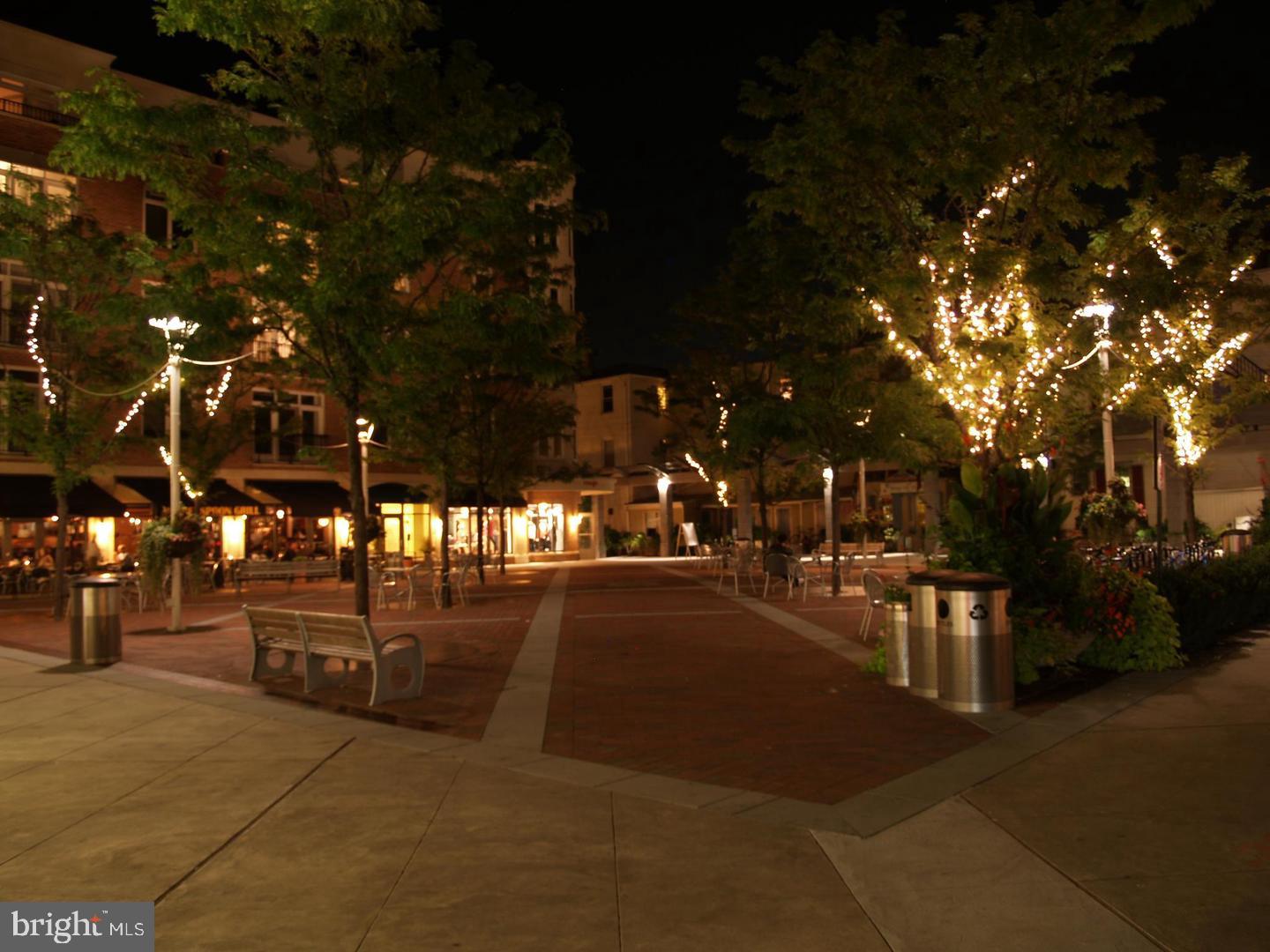45 Spring Street, Unit 1 Princeton, NJ 08542 - Photo 22 of 30 Library at night