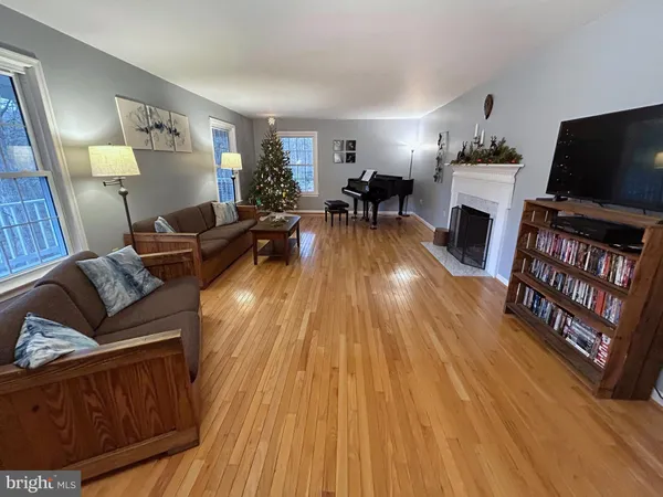 a living room with a fireplace and potted plant
