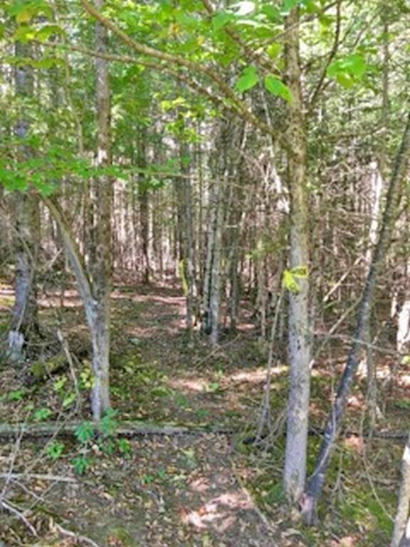 60 Coffin Road Springfield, ME 04487 - Photo 8 of 14 Photo