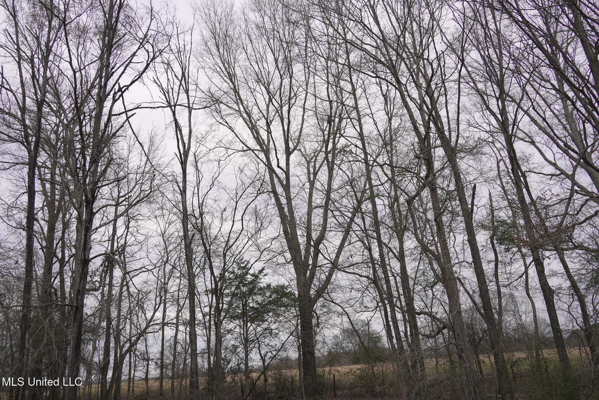 2720 Old Jackson Road Terry, MS 39170 - Photo 11 of 37 DSC01103