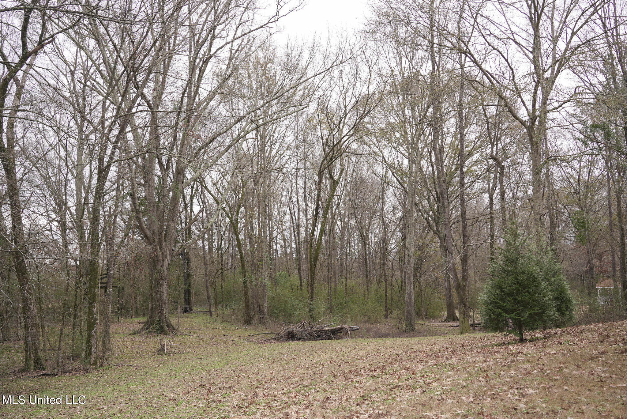 2720 Old Jackson Road Terry, MS 39170 - Photo 12 of 37 DSC01102