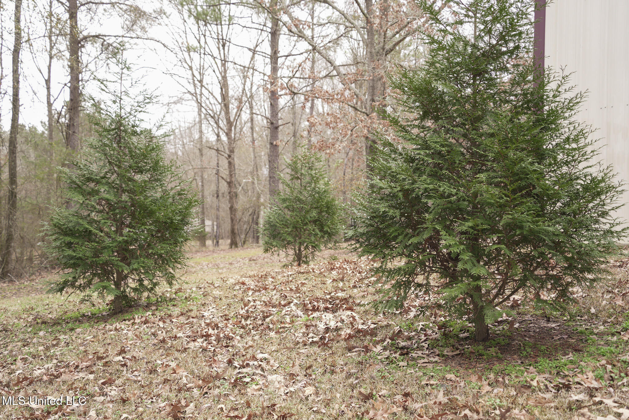 2720 Old Jackson Road Terry, MS 39170 - Photo 37 of 37 DSC01105