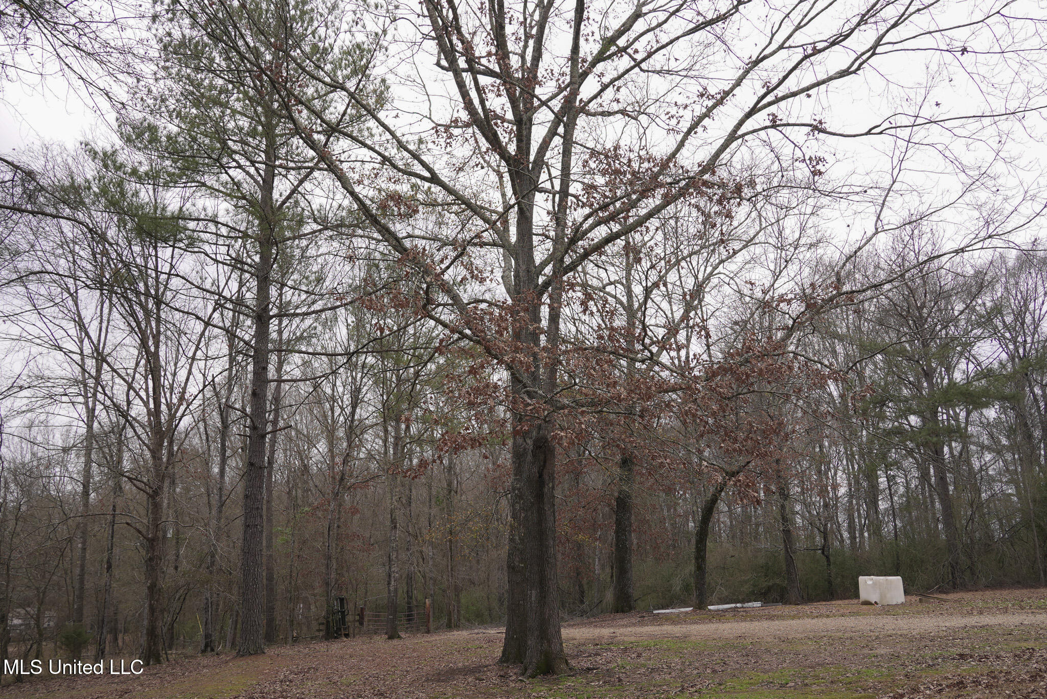 2720 Old Jackson Road Terry, MS 39170 - Photo 10 of 37 DSC01106