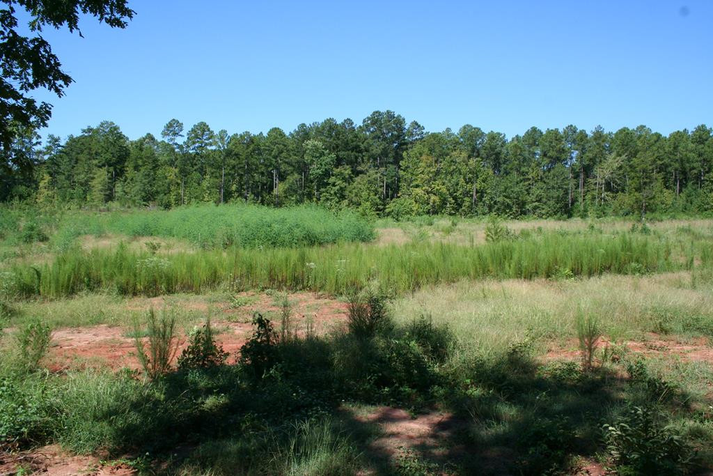 Lot D Dozier Road Appling, GA 30802 - Photo 1 of 4 Main View
