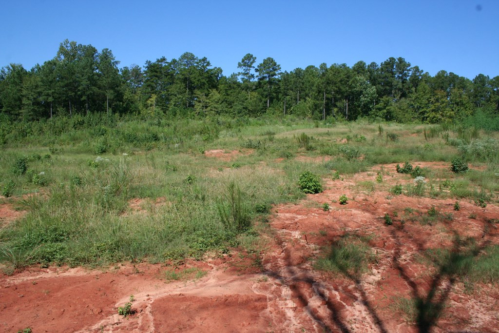Lot D Dozier Road Appling, GA 30802 - Photo 2 of 4