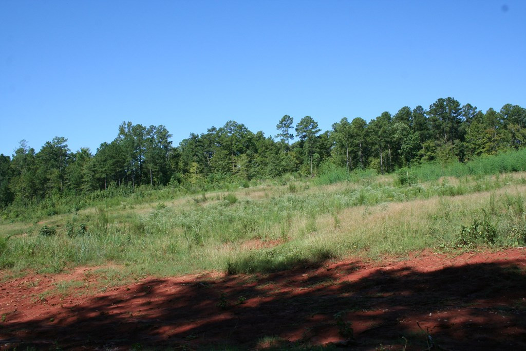 Lot D Dozier Road Appling, GA 30802 - Photo 3 of 4