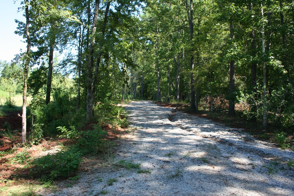 Lot D Dozier Road Appling, GA 30802 - Photo 4 of 4