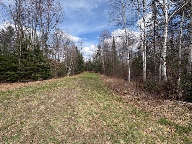 N8506 Swamp Road Tomahawk, WI 54487 - Photo 18 of 31 Gallery Image 18