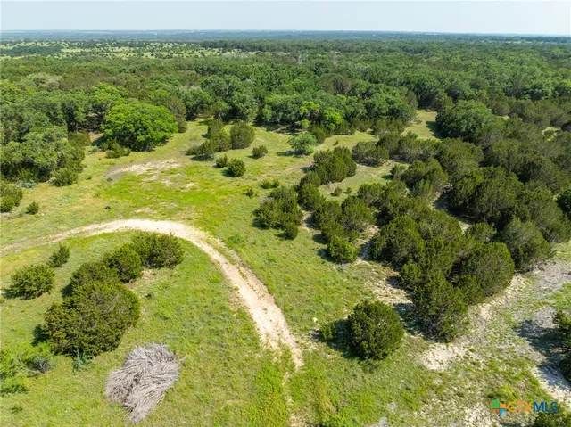 a view of a field with a tree