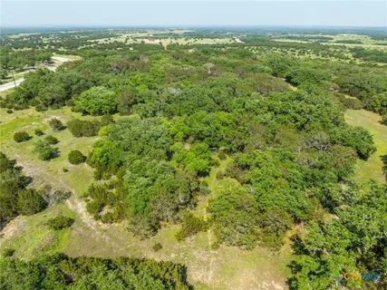 a view of a big yard with lots of bushes