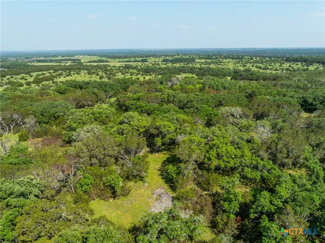 a view of yard with green space