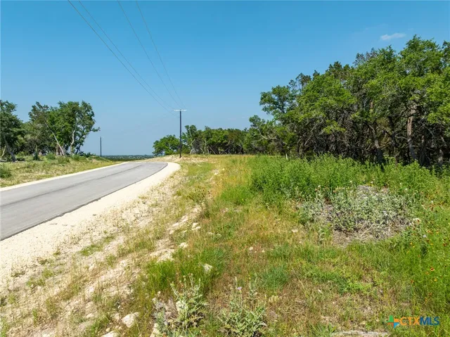 a view of backyard with green space