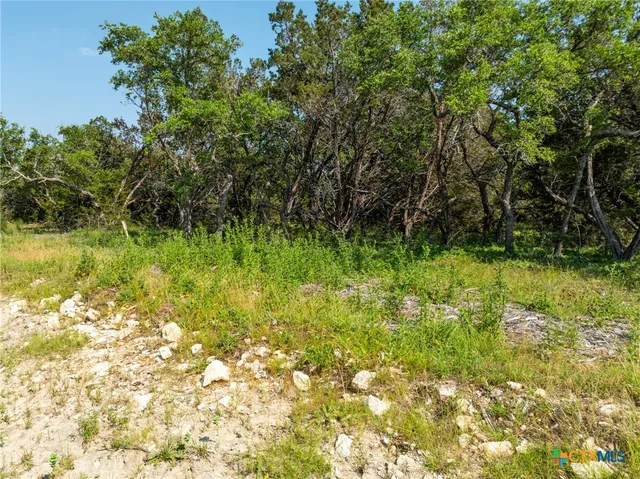 a view of a yard with an outdoor space