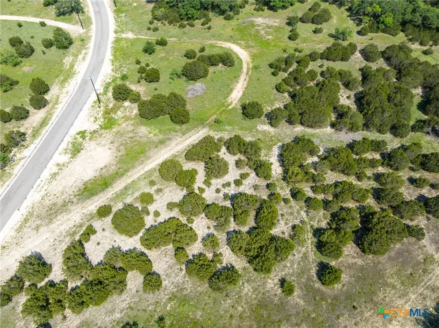 a view of a green field with lots of bushes