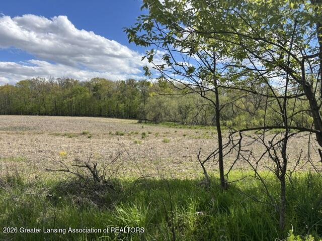 0 West Jason Road Dewitt, MI 48820 - Photo 16 of 17 IMG_8971