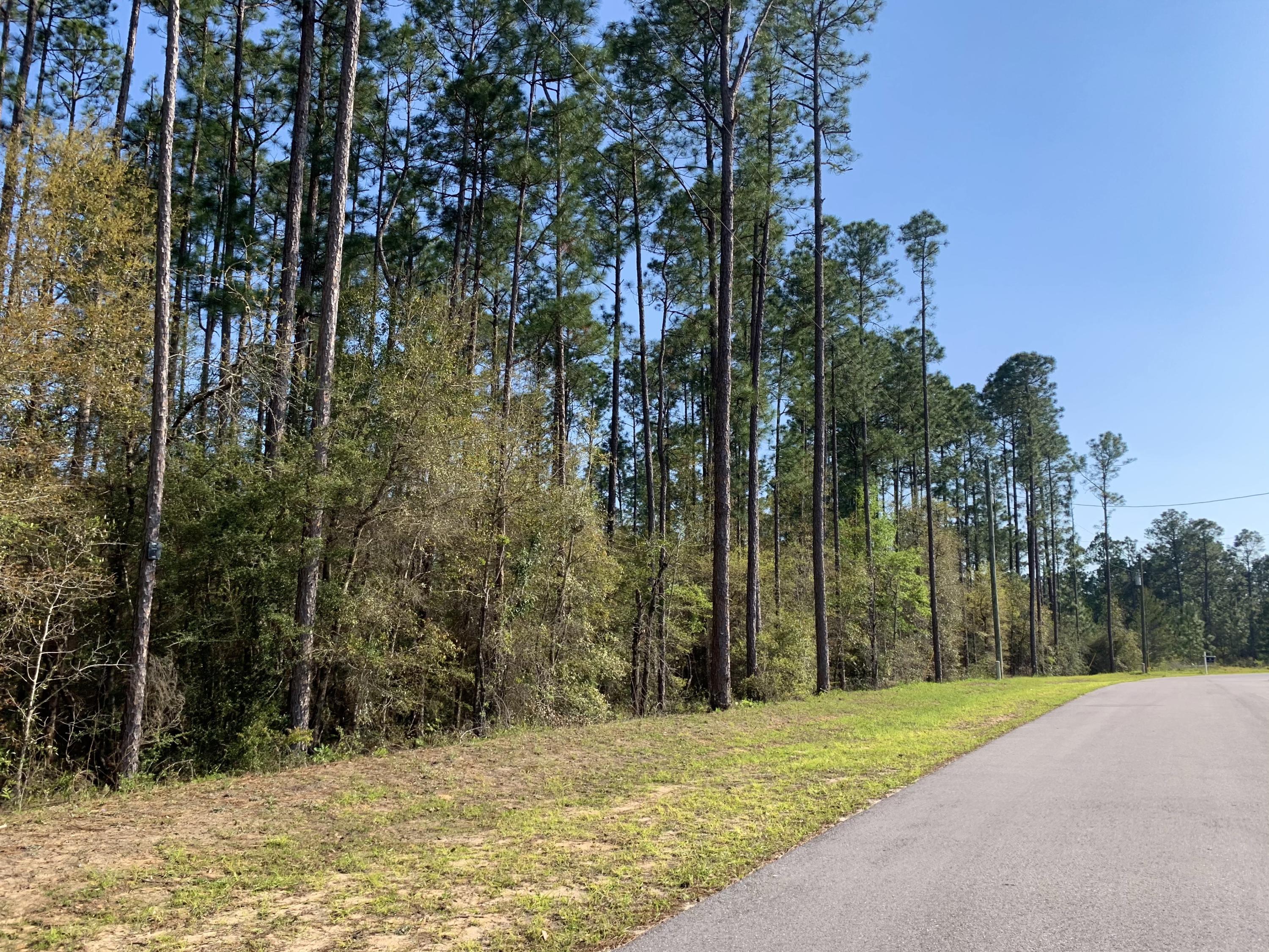 Lot 2 Eagle Way Crestview, FL 32539 - Photo 4 of 7 IMG_2650