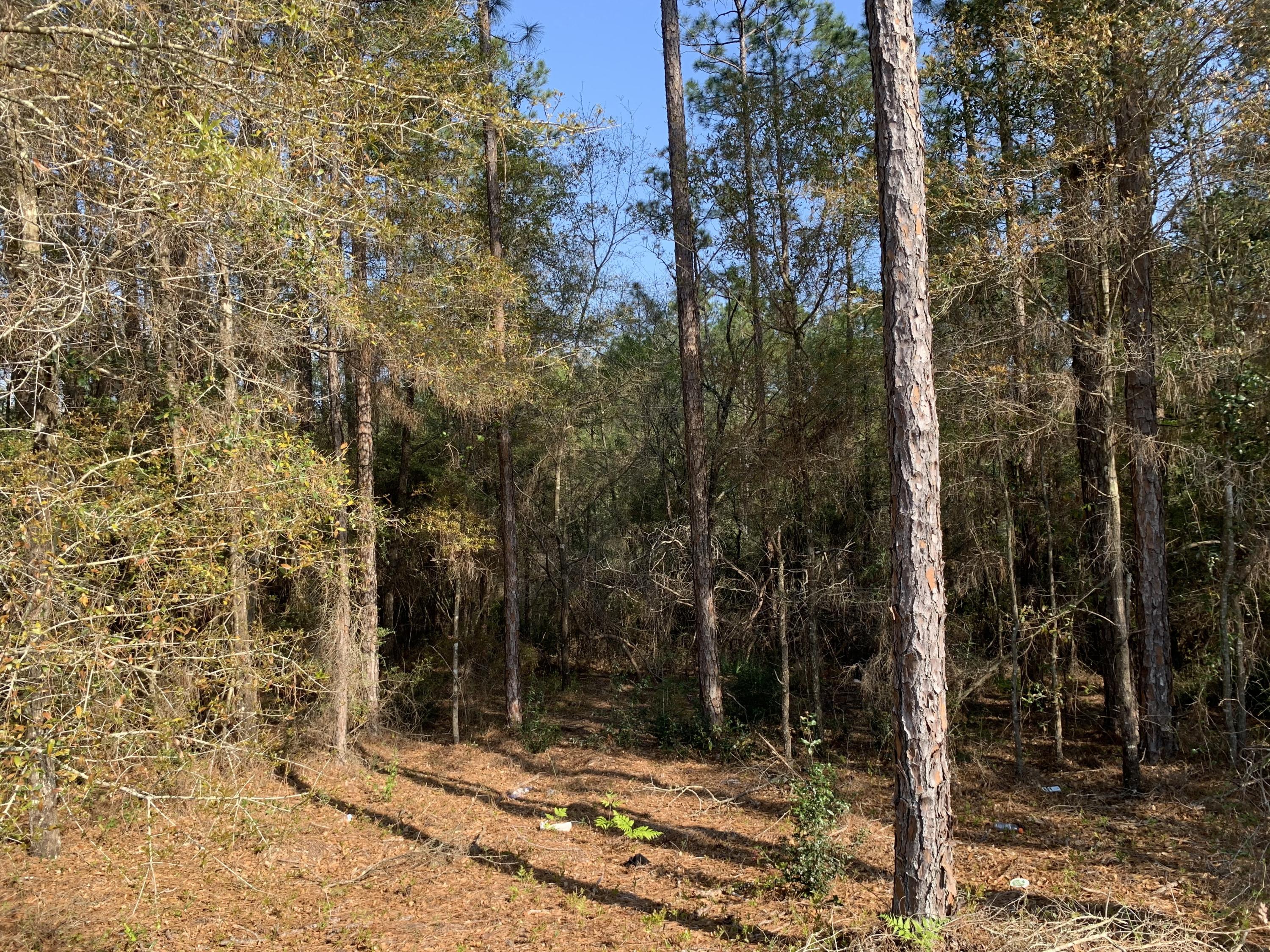 Lot 2 Eagle Way Crestview, FL 32539 - Photo 5 of 7 IMG_2655