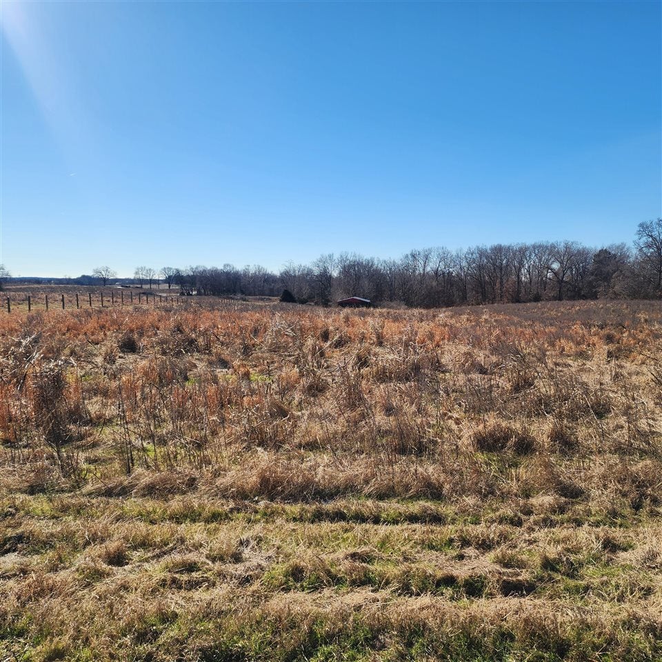 0 Charlie Butts Road Franklin, KY 42134 - Photo 6 of 6 Gallery Image 6