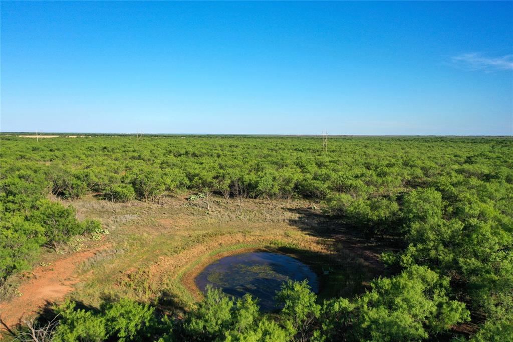 Tbd Kimbrough Road Haskell, TX 79521 - Photo 10 of 21