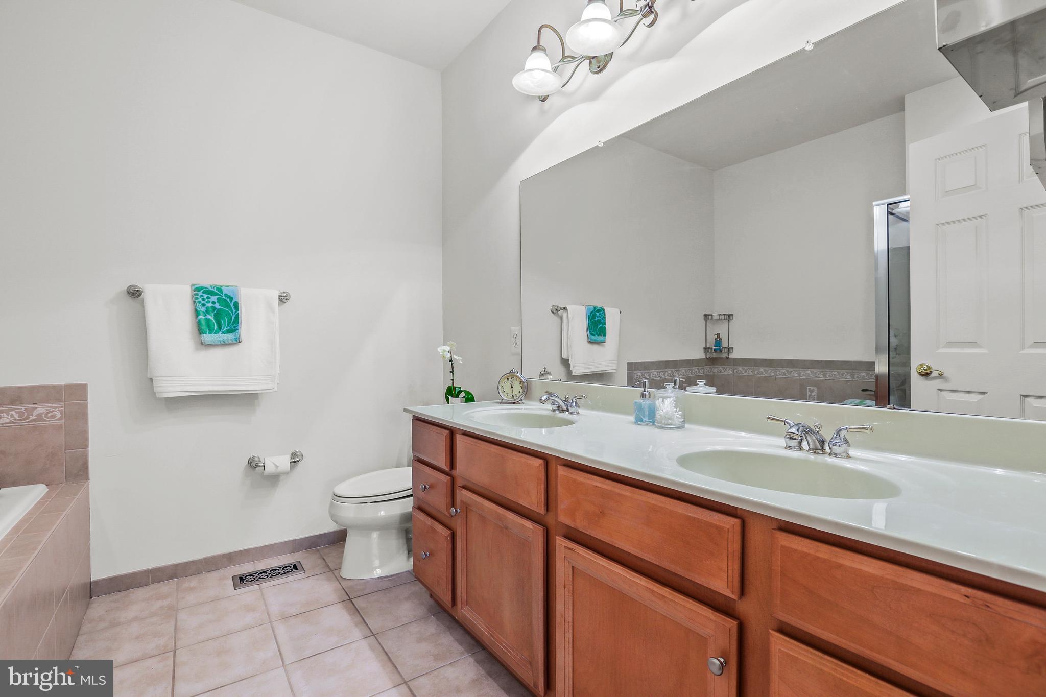 55 Cypress Point Road Mount Holly, NJ 08060 - Photo 23 of 41 Master Bath