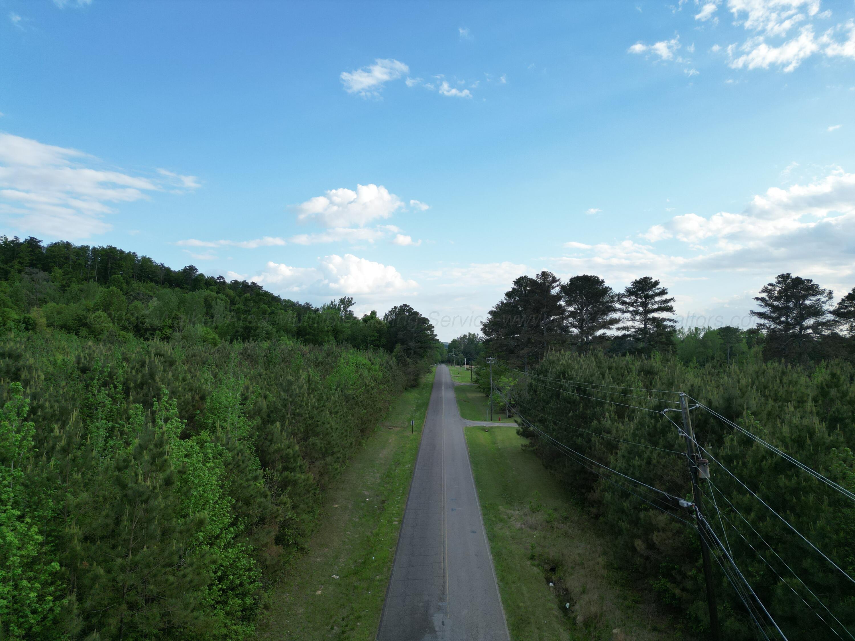0 Dogtown Road Carbon Hill, AL 35549 - Photo 2 of 23 dji_fly_20260414_032548_766_177673606923