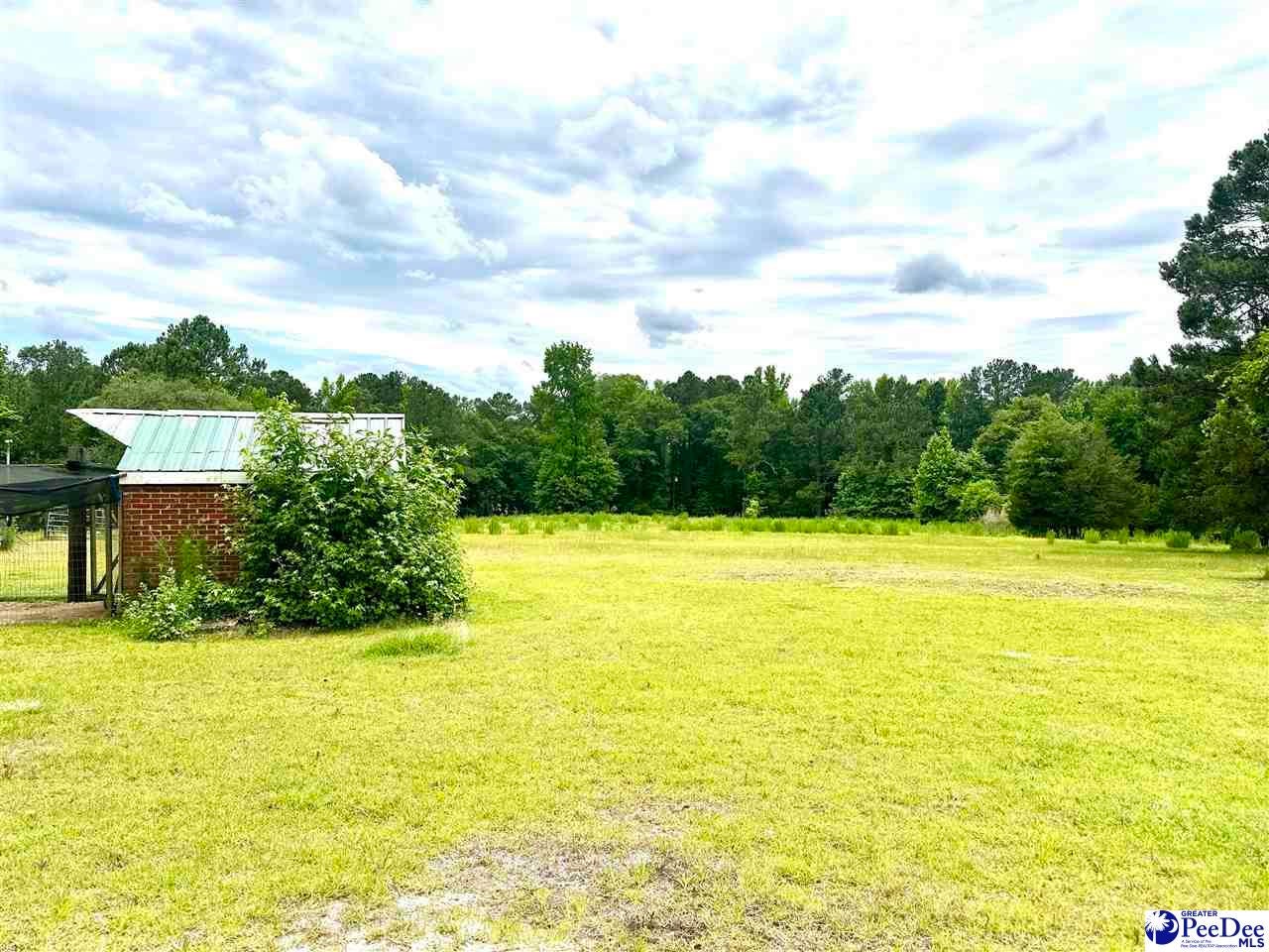 135 Jesse N Gaskins Road Chesterfield, SC 29709 - Photo 3 of 9 Gallery Image 3