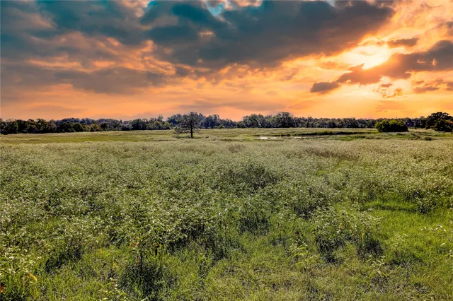 a view of a lake from a city