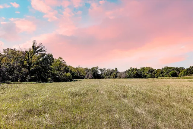 a view of a green field with a view of trees
