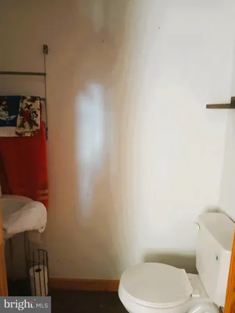 a white toilet sitting next to a shower curtain