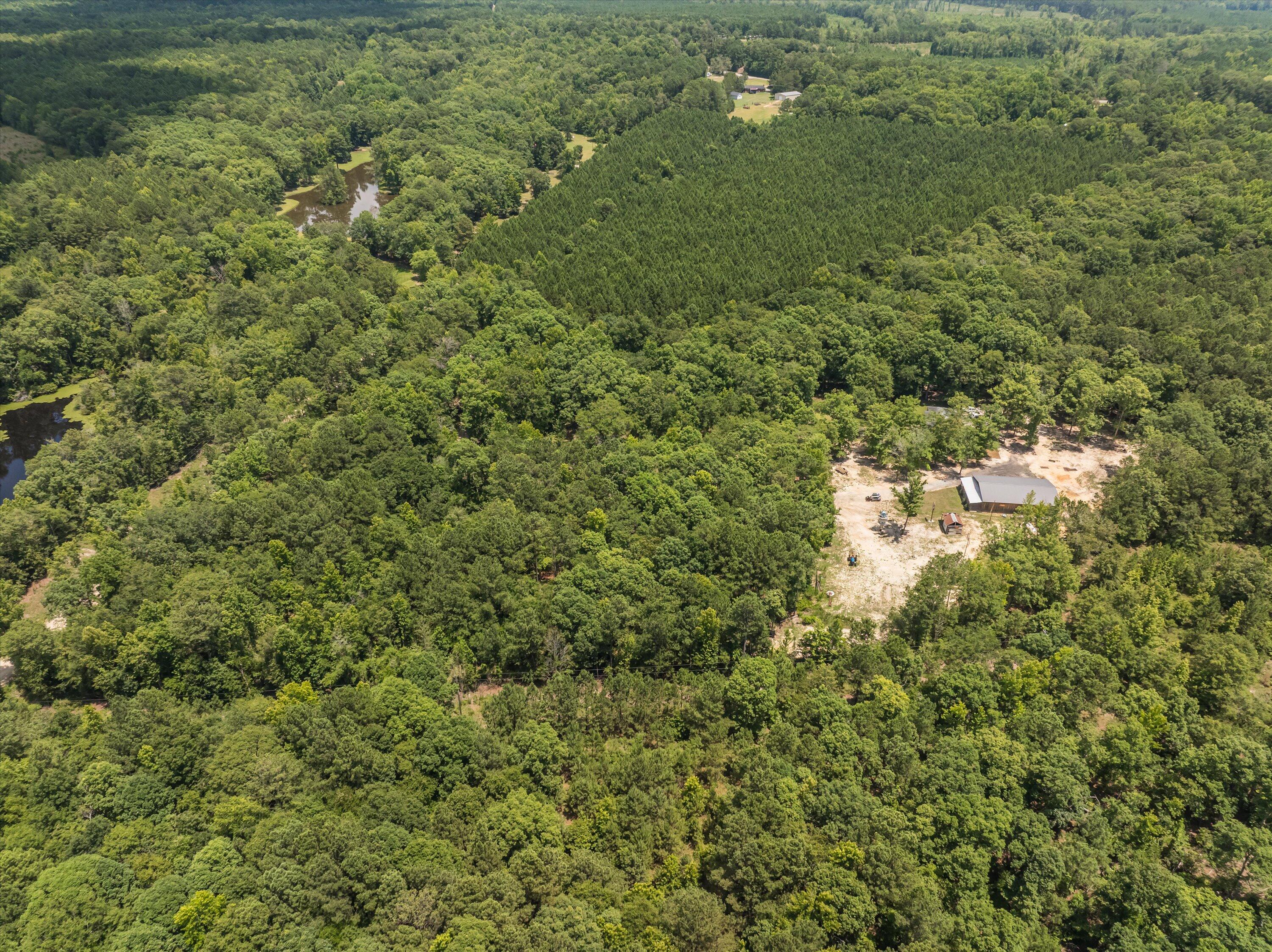 1775 Foster Sprouse Road Thomson, GA 30824 - Photo 66 of 70 025-DJI_0660-HDR