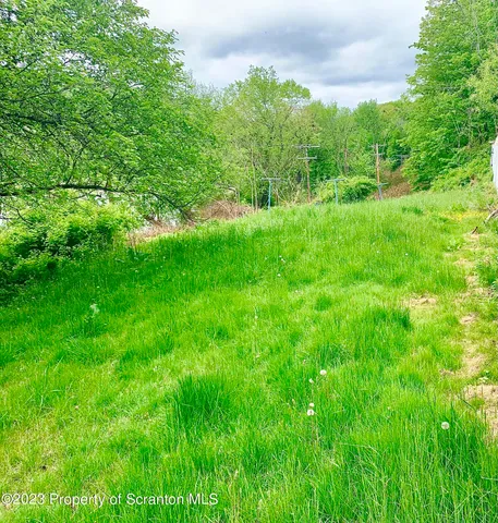 a view of a lush green space