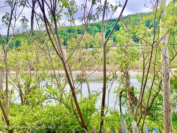 a view of tree