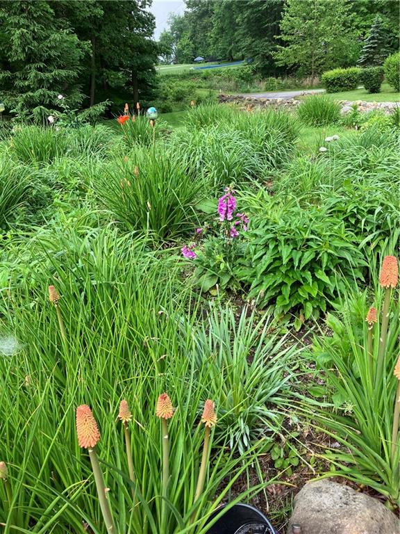 3132 Lake Road New Castle, PA 16102 - Photo 33 of 47 The property opens to meadow, lush gardens, and creek views.