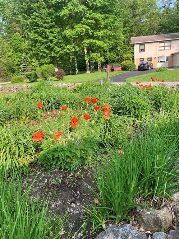 3132 Lake Road New Castle, PA 16102 - Photo 37 of 47 Poppies, ornamental grasses, and established plantings. Someone loved this land.
