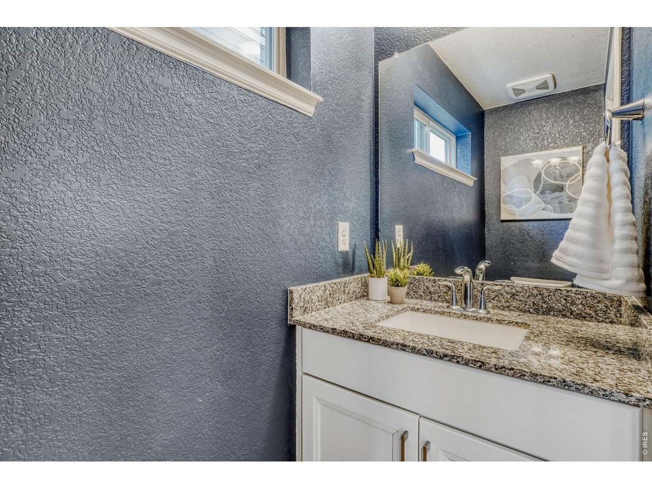 5869 Boston Street Denver, CO 80238 - Photo 16 of 34 Half Bath
