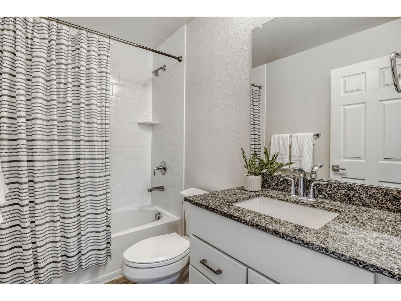 5869 Boston Street Denver, CO 80238 - Photo 25 of 34 Shared Full Bath