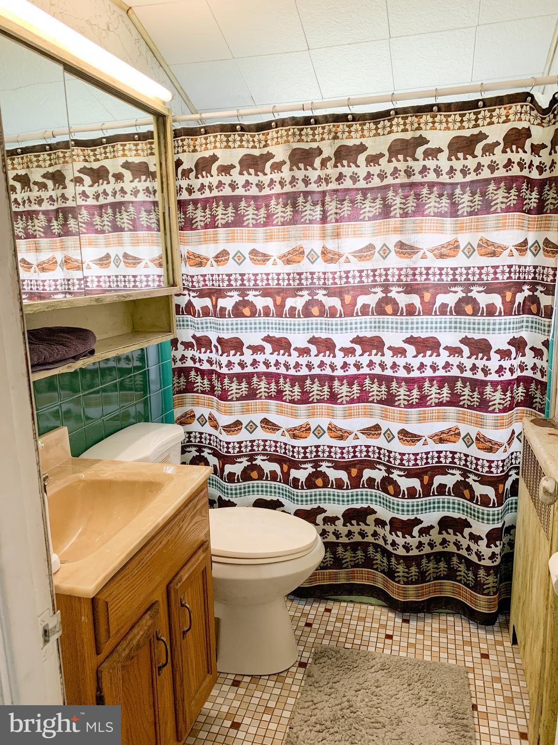 63 Queens Bridge Road Levittown, PA 19057 - Photo 8 of 18 Upstairs bathroom