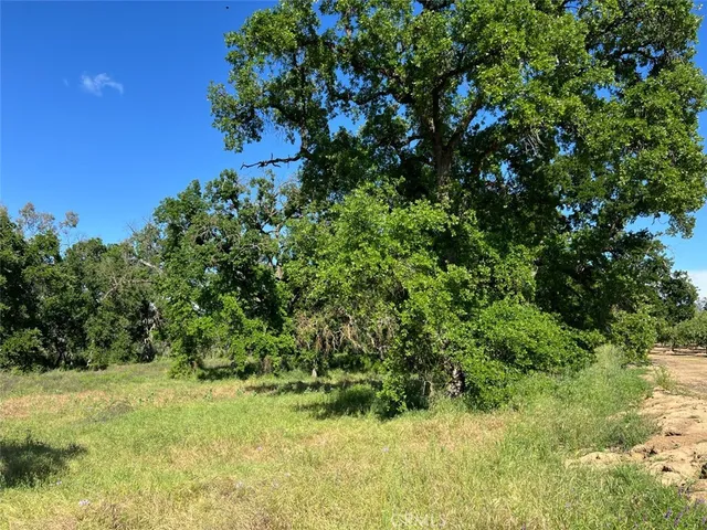 a view of dirt field with trees in background