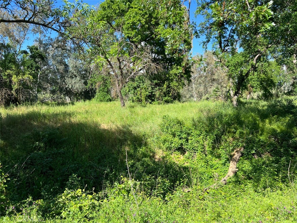 0 Capay Road Corning, CA 96021 - Photo 10 of 14 a view of a lush green space