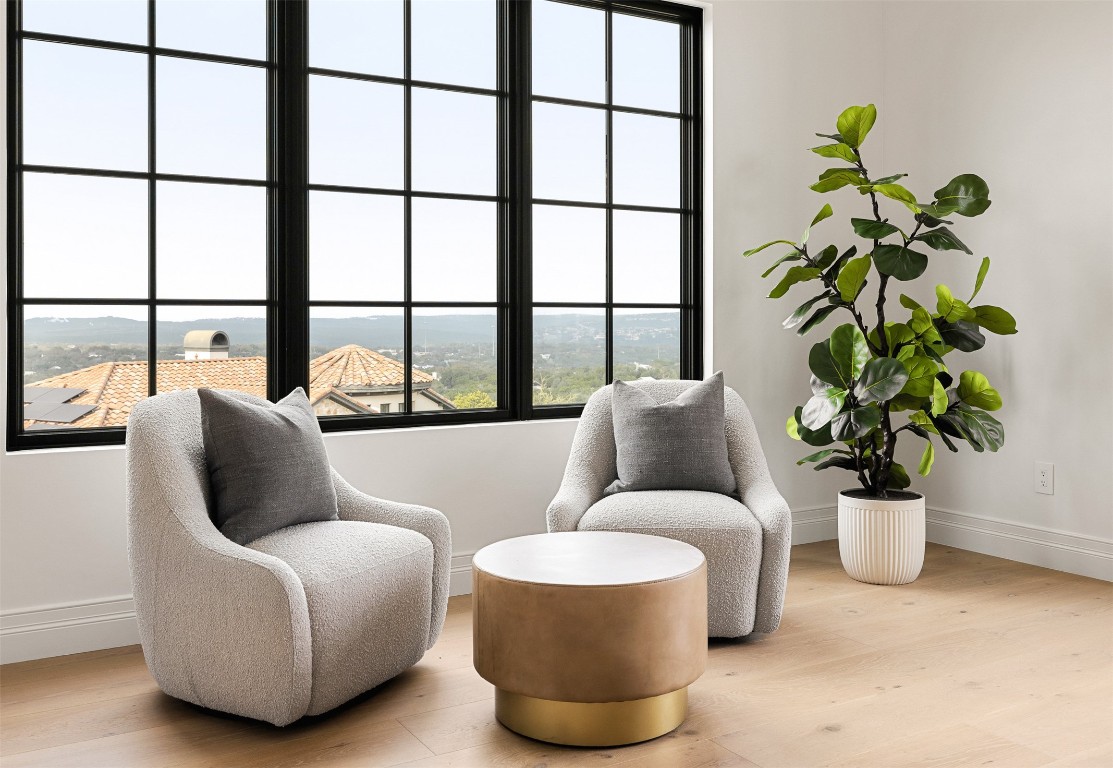 9117 Brookhurst Cove Austin, TX 78733 - Photo 20 of 40 a living room with furniture and a potted plant