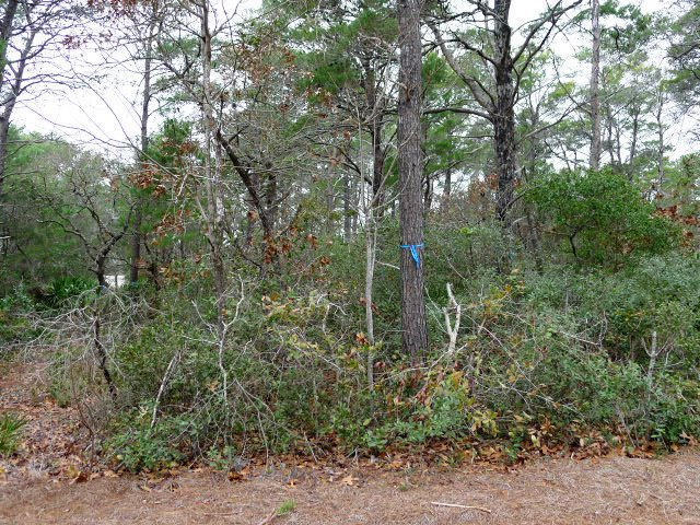 Lot 3 West Cedar Bend Santa Rosa Beach, FL 32459 - Photo 6 of 17 Gallery Image 6