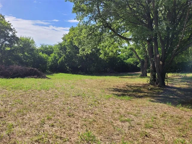 a view of a field with trees